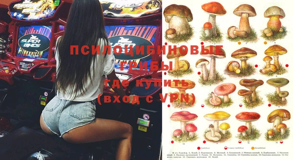 мдма Ельня