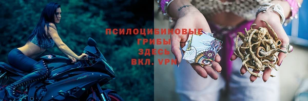 мдма Ельня