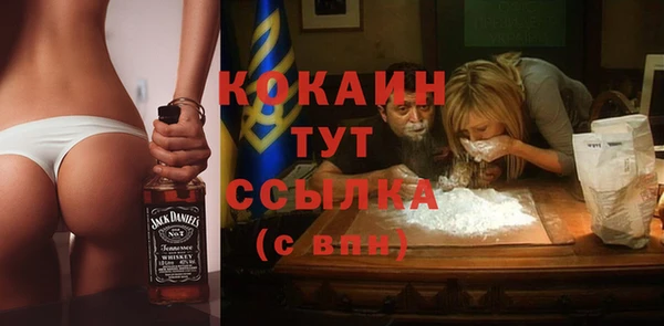 молекула духа Елизово