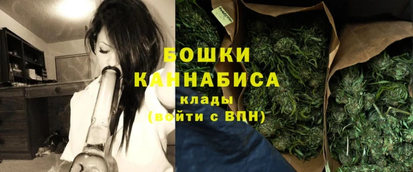 молекула духа Елизово