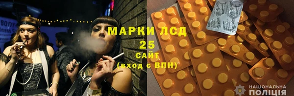 молекула духа Елизово