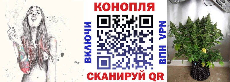 Каннабис планчик Купить Чаплыгин